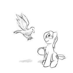 Size: 1280x1280 | Tagged: safe, artist:captainhoers, derpibooru import, oc, oc:aerie rufter, unofficial characters only, falcon, pony, chest fluff, falconry, grayscale, monochrome, sketch