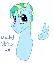 Size: 573x689 | Tagged: safe, artist:rosequartz1, derpibooru import, oc, oc:vaulted skies, unofficial characters only, pegasus, pony, bust, male, offspring, parent:sky stinger, parent:vapor trail, parents:vaporsky, portrait, simple background, solo, stallion, white background