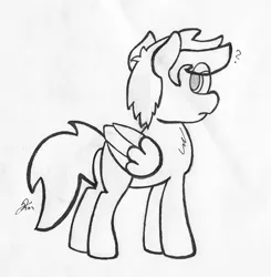 Size: 1015x1034 | Tagged: safe, artist:darius-101, derpibooru import, oc, unofficial characters only, pegasus, pony, male, monochrome, solo, stallion