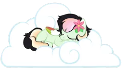 Size: 1024x577 | Tagged: safe, artist:petraea, derpibooru import, oc, oc:mayflower, unofficial characters only, pegasus, pony, cloud, colored wings, curled up, eyes closed, female, flower, flower in hair, lying down, lying on a cloud, mare, multicolored wings, on a cloud, prone, simple background, sleeping, solo, transparent background, vector