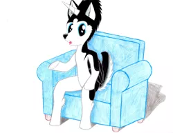 Size: 3300x2550 | Tagged: alicorn, alicorn oc, artist:mrchaosthecunningwlf, artist:ponyvillechaos577, couch, derpibooru import, husky, hybrid, oc, oc:frost cloud, safe, sitting, solo, talking, talking to viewer, traditional art, unofficial characters only