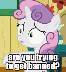 Size: 437x475 | Tagged: safe, derpibooru import, edit, edited screencap, screencap, sweetie belle, pony, the fault in our cutie marks, confused, image macro, meme, reaction image, solo