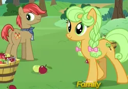 Size: 920x642 | Tagged: safe, derpibooru import, screencap, apples snack, goldie delicious, earth pony, pony, the perfect pear, apple, apple family member, background pony, bandana, basket, bow, braid, bushel basket, cropped, female, food, hair bow, male, mare, stallion, younger
