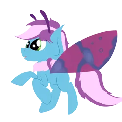 Size: 4000x4000 | Tagged: artist:finnanon, derpibooru import, mothpony, oc, oc:gyro tech, original species, safe, species swap, unofficial characters only