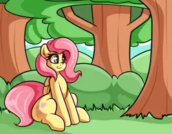 Size: 2377x1853 | Tagged: safe, artist:graphene, derpibooru import, fluttershy, pegasus, pony, atg 2017, cute, female, forest, mare, newbie artist training grounds, shyabetes, sitting, smiling, solo, tree