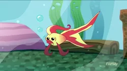 Size: 1136x640 | Tagged: safe, derpibooru import, screencap, betta, fish, tropical fish, eqg summertime shorts, equestria girls, pet project, discovery family logo, solo, sunset fish