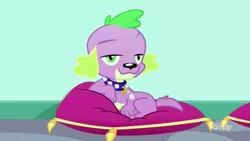 Size: 1920x1080 | Tagged: safe, derpibooru import, screencap, spike, spike the regular dog, dog, eqg summertime shorts, equestria girls, pet project, draw me like one of your french girls, looking at you, pillow, stupid sexy spike