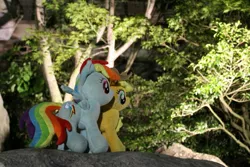 Size: 1920x1280 | Tagged: safe, artist:setorin5, derpibooru import, applejack, rainbow dash, pony, 4de, irl, japan, nature, photo, plushie, ponies around the world