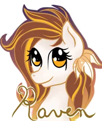 Size: 6352x7538 | Tagged: safe, artist:silversthreads, derpibooru import, oc, oc:raven, unofficial characters only, earth pony, pony, absurd resolution, feathers in hair, female, handwriting, mare, simple background, solo, transparent background