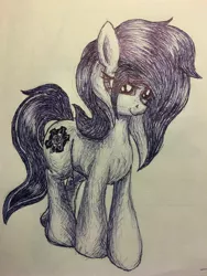 Size: 3024x4032 | Tagged: safe, artist:littlenaughtypony, derpibooru import, oc, oc:zedwin, unofficial characters only, earth pony, pony, female, mare, sketch, smiling, solo, traditional art
