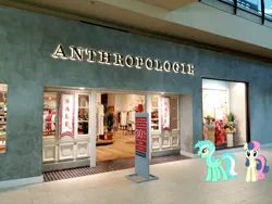 Size: 2600x1950 | Tagged: safe, artist:conman17, derpibooru import, bon bon, lyra heartstrings, sweetie drops, pony, fanfic:anthropology, clean, confused, excited, funny, irl, looking at you, mall, misspelling, photo, photoshop, ponies in real life, store, that pony sure does love humans
