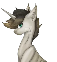Size: 1280x1396 | Tagged: safe, artist:lastaimin, derpibooru import, oc, oc:reiser, unofficial characters only, pony, unicorn, bust, male, portrait, simple background, solo, stallion, transparent background, watermark