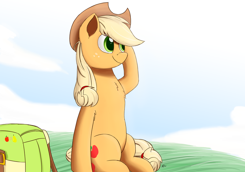 Size: 2400x1680 | Tagged: safe, artist:j24262756, derpibooru import, applejack, earth pony, pony, cloud, cowboy hat, female, grass, hat, mare, smiling, solo, stetson