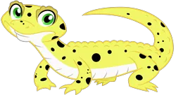 Size: 2950x1600 | Tagged: safe, artist:cheezedoodle96, derpibooru import, ray, gecko, leopard gecko, lizard, eqg summertime shorts, equestria girls, pet project, .svg available, animal, looking at you, pet, simple background, solo, svg, transparent background, vector