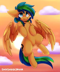 Size: 1607x1918 | Tagged: safe, artist:shyshyoctavia, derpibooru import, oc, oc:sky, unofficial characters only, pegasus, pony, afternoon, cloud, commission, cute, floppy ears, flying, male, sky, solo, stallion