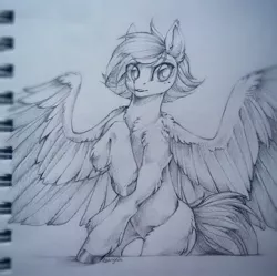 Size: 1280x1275 | Tagged: safe, artist:kerydarling, derpibooru import, oc, unofficial characters only, pony, commission, sketch, solo, traditional art