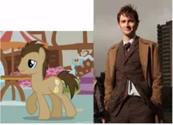 Size: 393x284 | Tagged: safe, derpibooru import, doctor whooves, time turner, pony, comparison, david tennant, doctor who, irl, photo, screenshots, tenth doctor