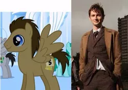 Size: 397x279 | Tagged: safe, derpibooru import, doctor whooves, time turner, pegasus, pony, comparison, david tennant, doctor who, irl, photo, screenshots