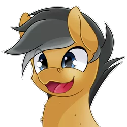 Size: 1796x1792 | Tagged: safe, artist:wulfanite, derpibooru import, quibble pants, earth pony, pony, blue eyes, bust, colt, male, open mouth, quibblebetes, simple background, smiling, solo, transparent background