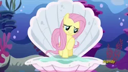 Size: 914x514 | Tagged: safe, derpibooru import, screencap, fluttershy, pegasus, pony, fame and misfortune, birth of venus, clam, cute, discovery family logo, female, flawless, mare, ocean, pun, raised hoof, shyabetes, solo, visual pun