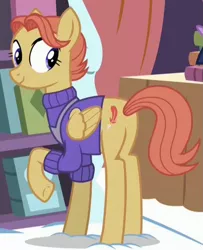 Size: 713x878 | Tagged: safe, derpibooru import, screencap, amber ink, pegasus, pony, fame and misfortune, bookseller, butt, clothes, cropped, cute, female, looking back, mare, plot, raised hoof, smiling, solo, sweater, underhoof