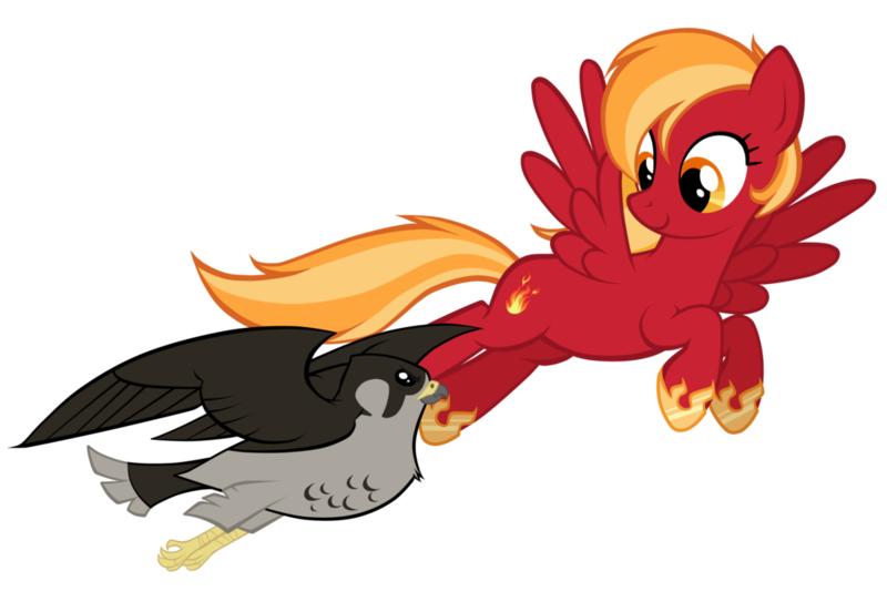 Size: 1024x707 | Tagged: safe, artist:petraea, derpibooru import, oc, oc:blaze gust, unofficial characters only, bird, falcon, pegasus, pony, female, flying, mare, peregrine falcon, simple background, solo, transparent background, vector