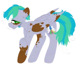 Size: 1024x835 | Tagged: safe, artist:alliedrawsart, derpibooru import, oc, oc:cirrus fever, unofficial characters only, pegasus, pony, male, simple background, solo, stallion, transparent background