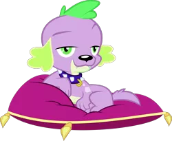 Size: 2275x1861 | Tagged: safe, artist:red4567, derpibooru import, spike, spike the regular dog, dog, eqg summertime shorts, equestria girls, pet project, collar, lidded eyes, looking at you, pillow, simple background, solo, transparent background, vector