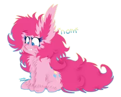 Size: 1024x819 | Tagged: safe, artist:vanillaswirl6, derpibooru import, part of a set, pinkie pie, earth pony, pony, big ears, biting, cheek fluff, chest fluff, colored pupils, cute, ear bite, ear fluff, female, impossibly large ears, mare, nom, ponk, scrunchy face, shoulder fluff, simple background, sitting, solo, transparent background, unshorn fetlocks