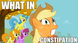 Size: 888x499 | Tagged: safe, derpibooru import, applejack, berry punch, berryshine, carrot top, golden harvest, lemon hearts, pony, constipated, constipation, image macro, meme, reaction image, what in tarnation