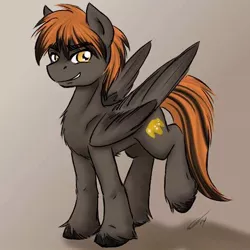 Size: 474x474 | Tagged: safe, derpibooru import, oc, oc:redflare, unofficial characters only, pegasus, pony, derpibooru community collaboration, gradient background, lifted leg, male, signature, solo, unshorn fetlocks