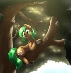 Size: 2600x2665 | Tagged: safe, artist:otakuap, derpibooru import, oc, oc:jaeger sylva, unofficial characters only, earth pony, pony, canopy, cute, male, sitting in a tree, smiling, solo, stallion, tree, tree branch, ych result