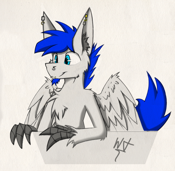 Size: 3090x3010 | Tagged: artist:wingedthoughts, claws, cute, derpibooru import, fluffy, grabby boi, hippogriff, oc, oc:wingedthoughts, piercing, safe, unofficial characters only, wings