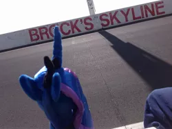 Size: 2592x1936 | Tagged: safe, artist:didgereethebrony, derpibooru import, princess luna, pony, australia, bathurst, brock, irl, photo, plushie, race track, solo