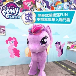 Size: 1000x1000 | Tagged: safe, derpibooru import, cranky doodle donkey, gilda, pinkie pie, twilight sparkle, twilight sparkle (alicorn), alicorn, gryphon, cardboard twilight, chinese text, friendship run, hong kong, irl, my little pony logo, photo, quadsuit, special face, stock vector