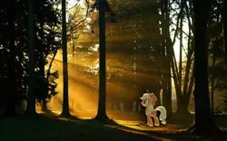 Size: 1280x800 | Tagged: safe, artist:pablomen13, artist:proenix, derpibooru import, applejack, pony, crepuscular rays, forest, irl, photo, ponies in real life, solo, sun ray, vector