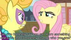 Size: 1920x1080 | Tagged: safe, derpibooru import, edit, edited screencap, screencap, fluttershy, lemon chiffon, pony, fame and misfortune, angry, annoyed, assertive, assertive fluttershy, fanpony, fluttershy is not amused, fourth wall, glasses, image macro, m.a. larson, meme, meta, peeved, scared, sweat, unamused