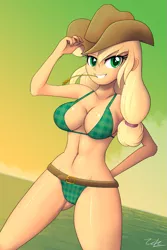 Size: 845x1267 | Tagged: suggestive, artist:zelc-face, derpibooru import, applejack, equestria girls, absolute cleavage, applebucking thighs, applejack's hat, beach babe, belt, big breasts, bikini, breasts, busty applejack, cleavage, clothes, cowboy hat, female, hat, lidded eyes, plaid swimsuit, sexy, sideboob, smiling, solo, solo female, stupid sexy applejack, swimsuit, thighs, underass, zelc-face's swimsuits