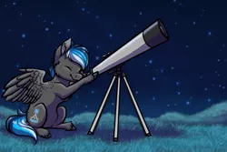 Size: 1024x683 | Tagged: safe, artist:ombraniwolf, derpibooru import, oc, oc:kepler, unofficial characters only, pegasus, pony, grass, night, night sky, sitting, sky, solo, stargazing, stars, telescope