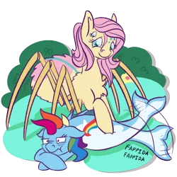 Size: 800x800 | Tagged: alternate universe, artist:couchcrusader, bellyrubs, blushing, comic:children of everfree, cute, derpibooru import, duo, flapping, fluttershy, monster pony, original species, rainbow dash, rainbow trout, safe, scratch reflex, scrunchy face, simple background, siren, sirendash, species swap, spiderpony, spidershy, transparent background