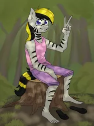 Size: 981x1310 | Tagged: anthro, artist:chibadeer, clothes, derpibooru import, male, oc, oc:sly, pants, plantigrade anthro, safe, sandals, shirt, sitting, solo, tree stump, unofficial characters only, zebra