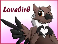 Size: 1991x1500 | Tagged: safe, artist:10art1, derpibooru import, oc, oc:gary, unofficial characters only, gryphon, birb, cheek fluff, chest fluff, eared griffon, ear fluff, feather guns, fluffy, gradient background, heart hands, leg fluff, looking at you, neck fluff, one eye closed, pointing, smiling, solo, spread wings, :t, wing fluff, wing hands, wings, wink