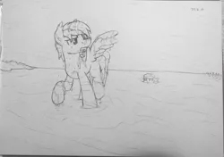 Size: 1239x872 | Tagged: safe, artist:moemneop, derpibooru import, oc, oc:kami, oc:lukida, unofficial characters only, bat pony, pegasus, pony, beach, female, male, mare, monochrome, ocean, seaweed, sketch, stallion, traditional art