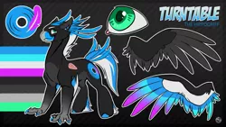 Size: 1280x720 | Tagged: artist:kez, beak, classical hippogriff, claws, cutie mark, derpibooru import, feather, hippogriff, hippogriff oc, hooves, male, oc, oc:turntable, record, reference sheet, safe, solo, unofficial characters only, unshorn fetlocks, wings