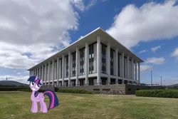 Size: 5795x3875 | Tagged: safe, artist:didgereethebrony, derpibooru import, twilight sparkle, twilight sparkle (alicorn), alicorn, pony, canberra, digital art, irl, library, photo, ponies in real life, solo