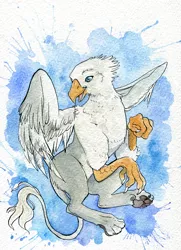 Size: 972x1346 | Tagged: safe, artist:spell_fox, derpibooru import, oc, oc:der, unofficial characters only, gryphon, flying, majestic, solo, traditional art, watercolor painting