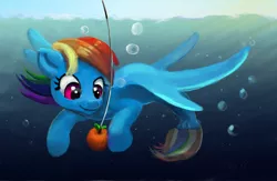 Size: 2000x1300 | Tagged: safe, artist:xbi, derpibooru import, rainbow dash, merpony, pony, apple, bait, fishing, food, solo, underwater