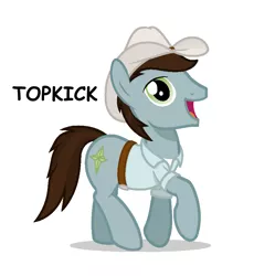 Size: 840x914 | Tagged: safe, artist:ethanchang, derpibooru import, oc, oc:topkick, unofficial characters only, pony, comic sans, cowboy hat, hat, ponysona, stetson