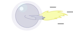 Size: 307x163 | Tagged: safe, artist:mega-poneo, derpibooru import, derpy hooves, pony, ball, bubble, crossover, image, motion lines, png, rolling, shield, simple background, solo, sonic the hedgehog, sonic the hedgehog (series), spin dash, spread wings, transparent background, wings