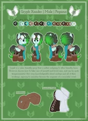 Size: 3200x4400 | Tagged: safe, artist:kellythedrawinguni, derpibooru import, oc, oc:gryph xander, unofficial characters only, pegasus, pony, bomber jacket, boots, clothes, goggles, high res, jacket, male, pants, reference sheet, saddle bag, scarf, shoes, solo, stallion